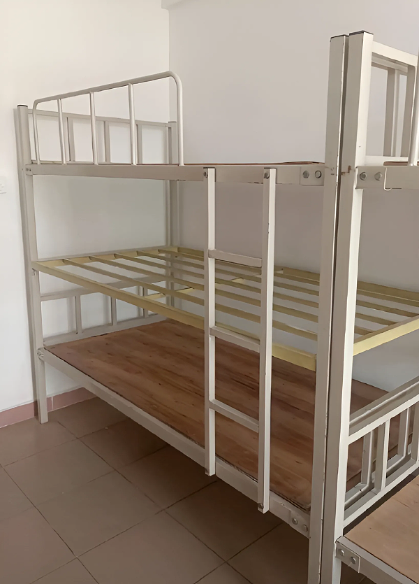 2696db9333e687a9f7ee83c72adc0c24